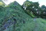筑前 福岡城の写真