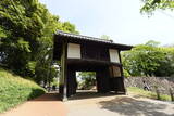 筑前 福岡城の写真