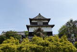 筑前 福岡城の写真