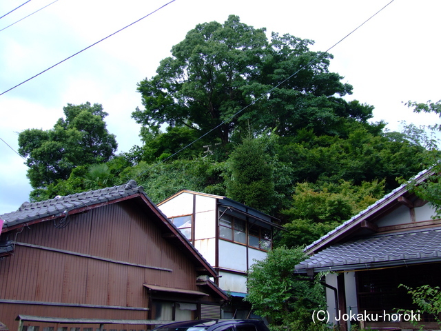 筑前 福嶽城の写真