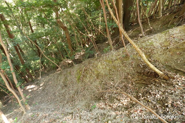 筑前 祇園嶽城の写真