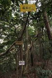 筑前 祇園嶽城の写真