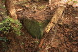 筑前 杷木神籠石の写真
