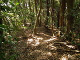 筑前 白山城の写真