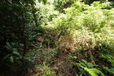 筑前 白山城の写真