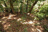 筑前 白山城の写真