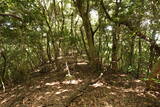 筑前 白山城の写真