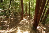 筑前 白山城の写真