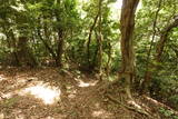 筑前 白山城の写真