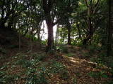 筑前 白山城の写真
