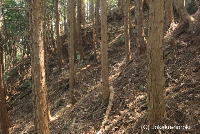 筑前 針目城の写真