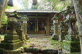 筑前 針目城の写真