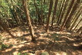 筑前 針目城の写真