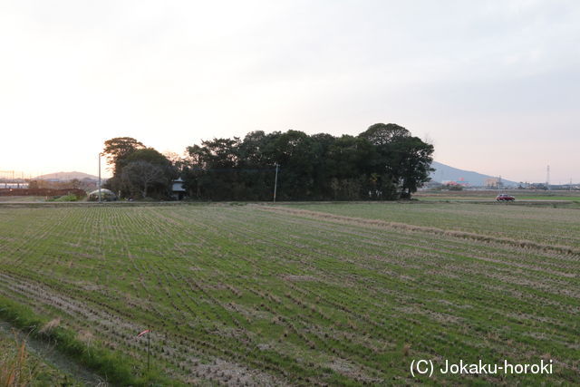 筑前 波多江城の写真