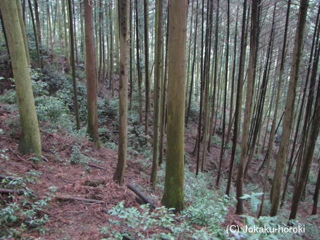 筑前 平家城の写真