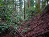 筑前 平家城の写真