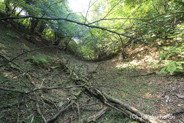 筑前 屏山城の写真