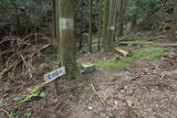 筑前 屏山城の写真