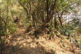 筑前 宝満山城の写真