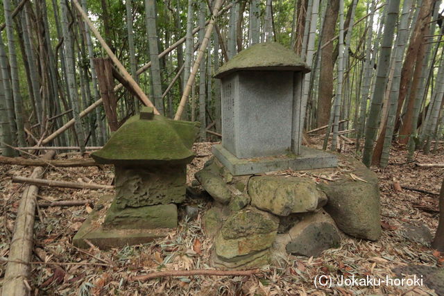 筑前 市瀬城の写真