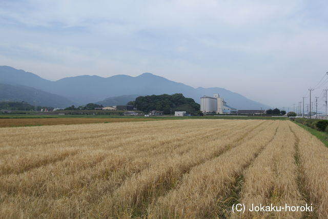 筑前 石崎城の写真