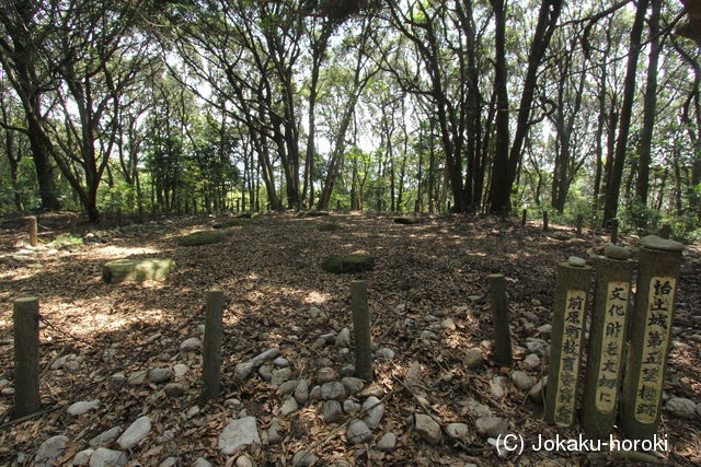 筑前 怡土城の写真