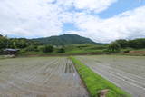 筑前 怡土城の写真