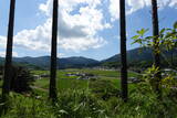 筑前 地蔵山城の写真