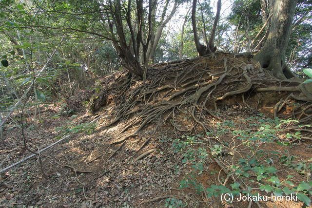 筑前 城ノ越山城砦群Aの写真