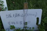 筑前 城ノ越山城砦群Aの写真