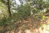 筑前 城ノ越山城砦群Aの写真
