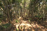 筑前 城ノ越山城砦群Aの写真