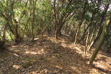 筑前 城ノ越山城砦群Aの写真