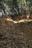筑前 城ノ越山城砦群Aの写真