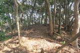 筑前 城ノ越山城砦群Aの写真
