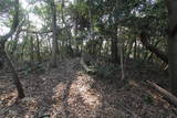 筑前 城ノ越山城砦群Aの写真