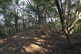 筑前 城ノ越山城砦群Aの写真