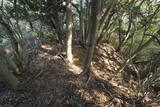 筑前 城ノ越山城砦群Aの写真