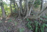 筑前 城ノ越山城砦群Aの写真