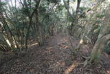 筑前 城ノ越山城砦群Aの写真