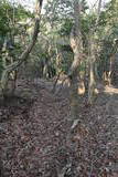 筑前 城ノ越山城砦群Aの写真