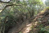 筑前 城ノ越山城砦群Aの写真