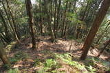 筑前 城ノ越山城砦群Aの写真