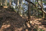 筑前 城ノ越山城砦群Aの写真
