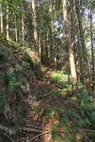 筑前 城ノ越山城砦群Aの写真