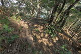 筑前 城ノ越山城砦群Aの写真
