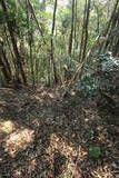 筑前 城ノ越山城砦群Aの写真
