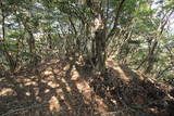 筑前 城ノ越山城砦群Aの写真