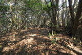 筑前 城ノ越山城砦群Aの写真