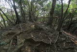 筑前 城ノ越山城砦群Aの写真